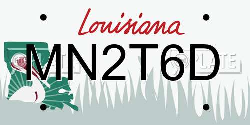 MN2T6D Louisiana License Plate