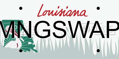 MNGSWAP Louisiana License Plate