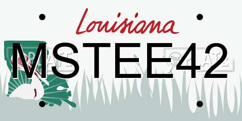 MSTEE42 Louisiana License Plate