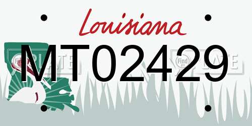 MT02429 Louisiana License Plate