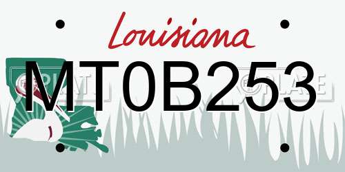 MT0B253 Louisiana License Plate