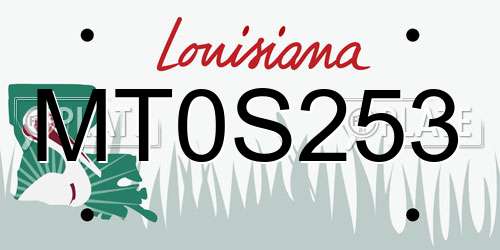 MT0S253 Louisiana License Plate