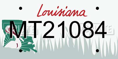 MT21084 Louisiana License Plate