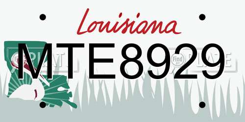 MTE8929 Louisiana License Plate