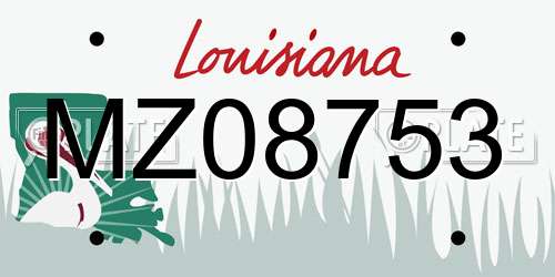 MZ08753 Louisiana License Plate