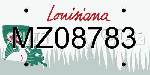 MZ08783 Louisiana License Plate