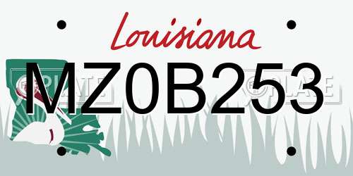 MZ0B253 Louisiana License Plate