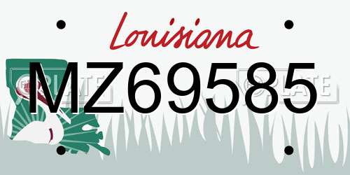 MZ69585 Louisiana License Plate