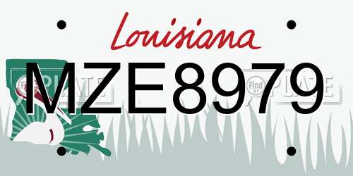 MZE8979 Louisiana License Plate