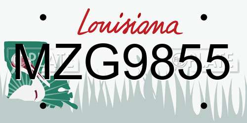 MZG9855 Louisiana License Plate
