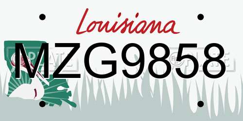MZG9858 Louisiana License Plate
