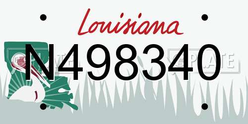 N498340 Louisiana License Plate