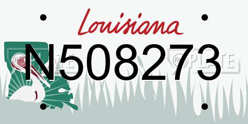 N508273 Louisiana License Plate