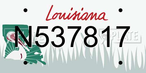 N537817 Louisiana License Plate