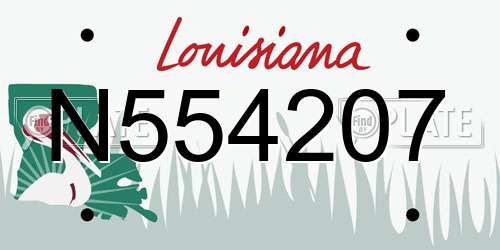 N554207 Louisiana License Plate