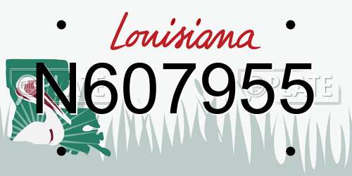N607955 Louisiana License Plate