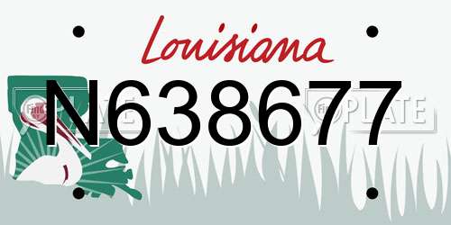 N638677 Louisiana License Plate