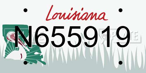 N655919 Louisiana License Plate