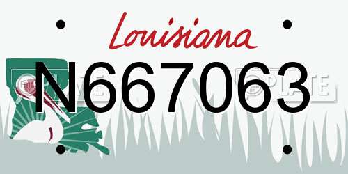 N667063 Louisiana License Plate
