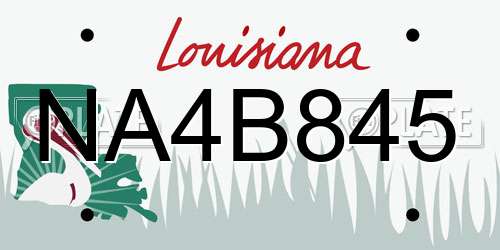 NA4B845 Louisiana License Plate