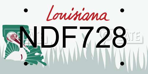 NDF728 Louisiana License Plate