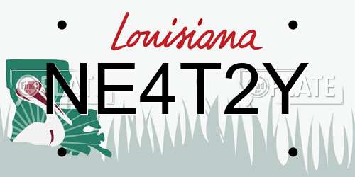 NE4T2Y Louisiana License Plate