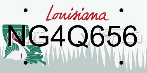 NG4Q656 Louisiana License Plate
