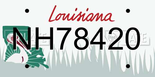 NH78420 Louisiana License Plate