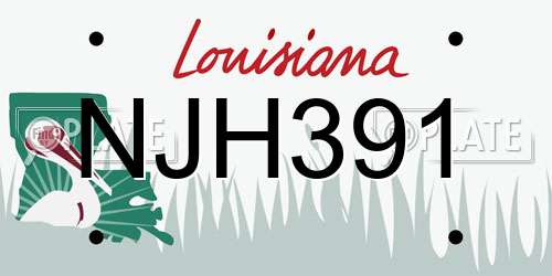 NJH391 Louisiana License Plate