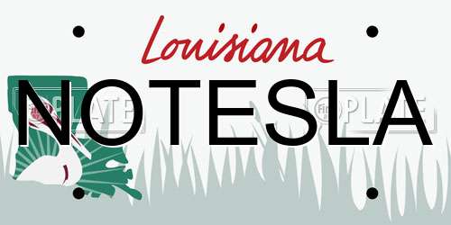 NOTESLA Louisiana License Plate