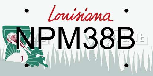 NPM38B Louisiana License Plate