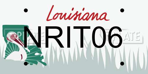 NRIT06 Louisiana License Plate
