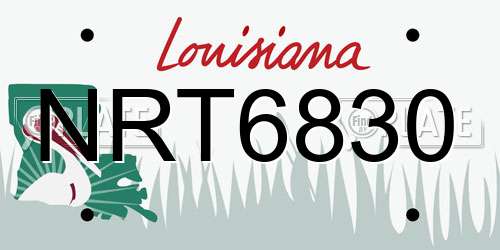 NRT6830 Louisiana License Plate