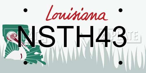 NSTH43 Louisiana License Plate