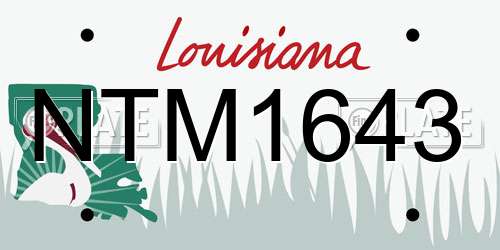 NTM1643 Louisiana License Plate