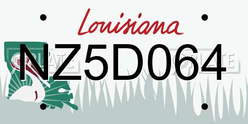 NZ5D064 Louisiana License Plate