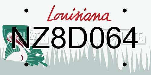 NZ8D064 Louisiana License Plate
