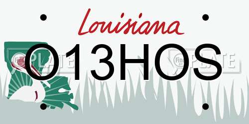 O13HOS Louisiana License Plate