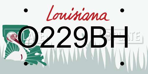 O229BH Louisiana License Plate