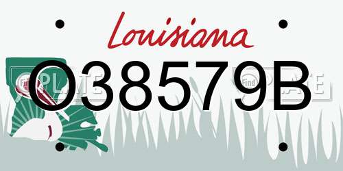 O38579B Louisiana License Plate