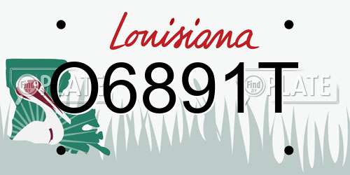 O6891T Louisiana License Plate