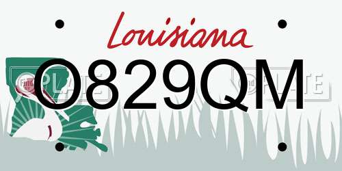 O829QM Louisiana License Plate