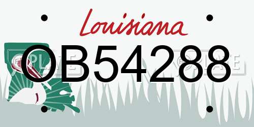 OB54288 Louisiana License Plate