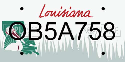 OB5A758 Louisiana License Plate