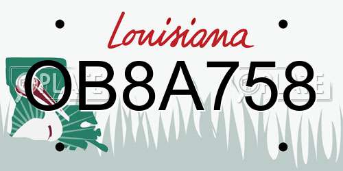 OB8A758 Louisiana License Plate