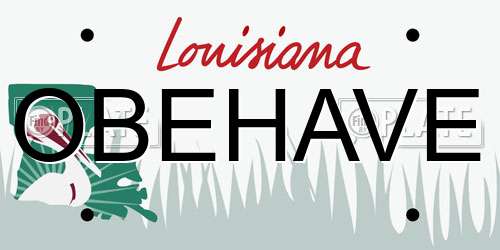 OBEHAVE Louisiana License Plate