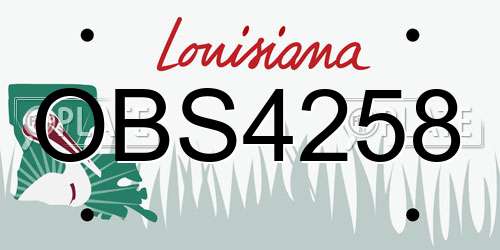 OBS4258 Louisiana License Plate