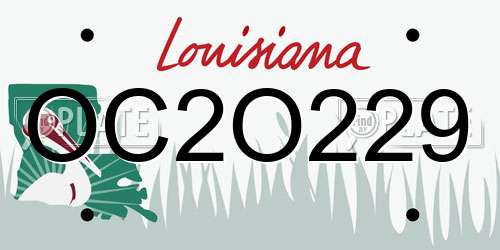 OC2O229 Louisiana License Plate