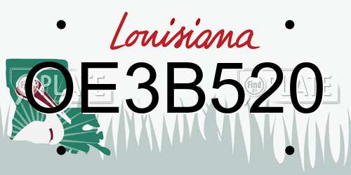 OE3B520 Louisiana License Plate