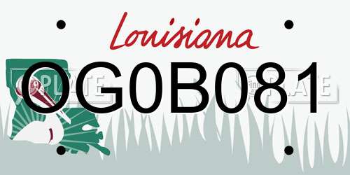 OG0B081 Louisiana License Plate